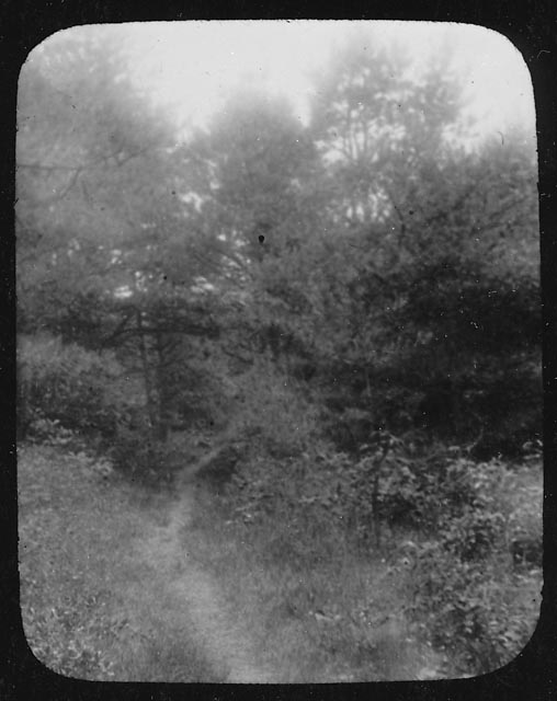 The Old Bay Path, ca. 1900